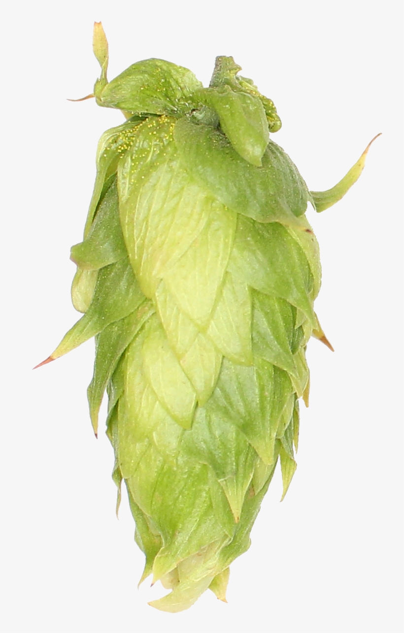 Galena, transparent png #1580763