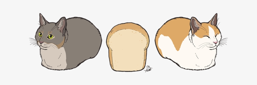 [cat Loaves] - Sticker, transparent png #1581147