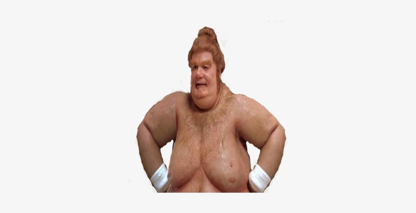 Download Austin Powers Cut Out - Fat Bastard Austin Powers PNG image ...