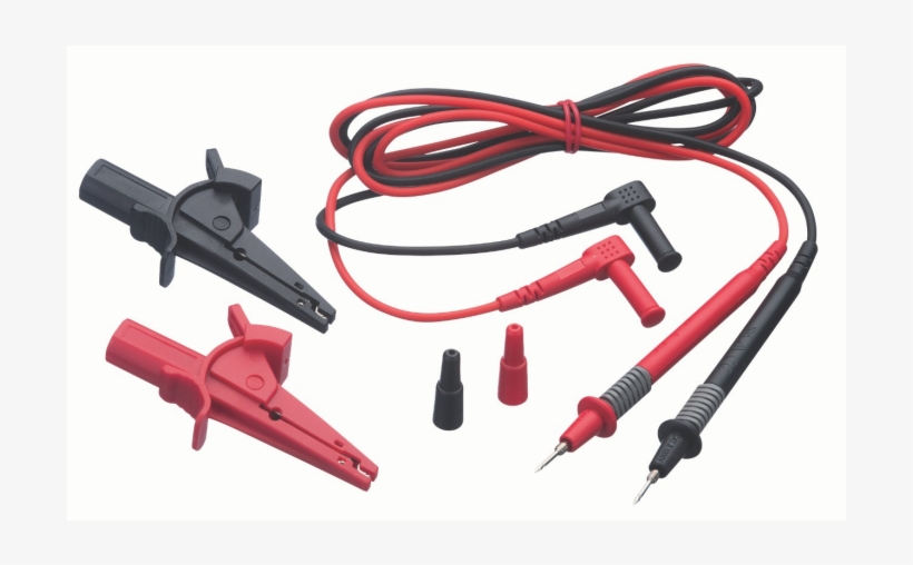 Vector Stock Test Walligator - Walygator Parc, transparent png #1582074