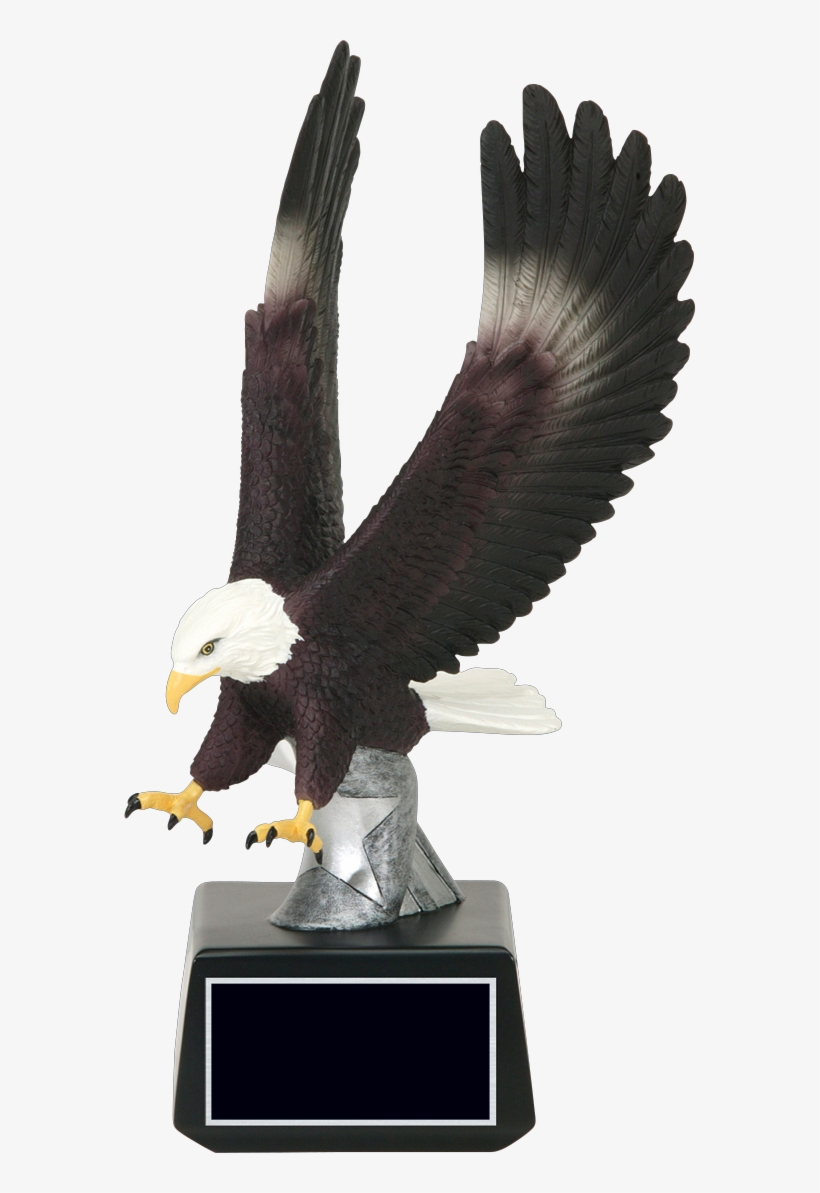 60455gs, transparent png #1582528