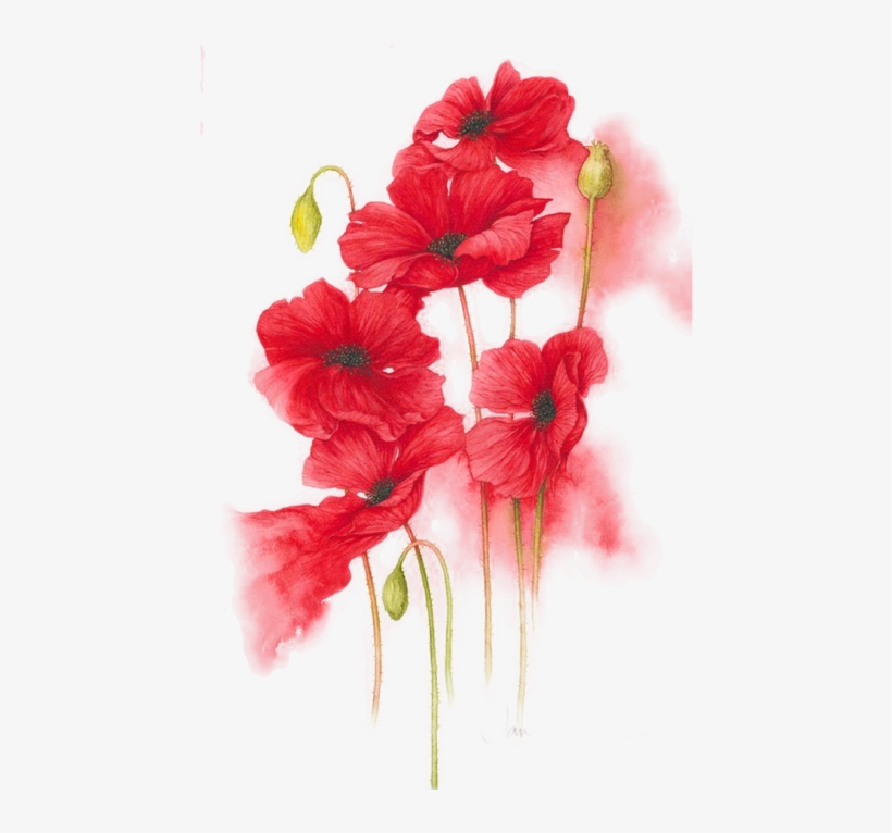 Red Flowers Png, transparent png #1582622