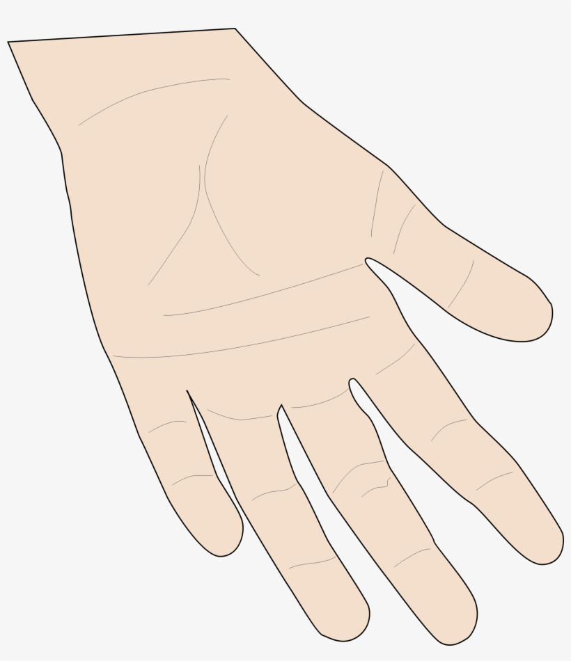 Hand - Skin Clipart, transparent png #1582939