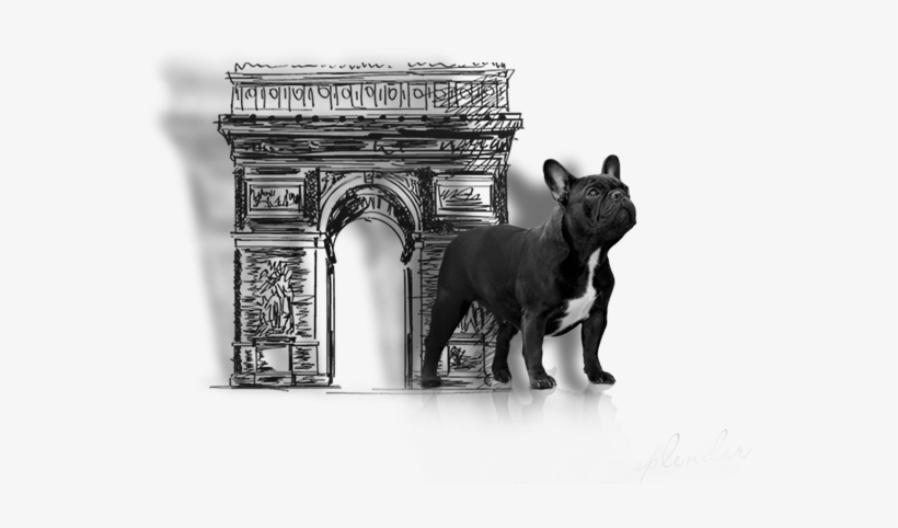 Success Is Not A Matter Of Coincidence - Monochrome, transparent png #1583530