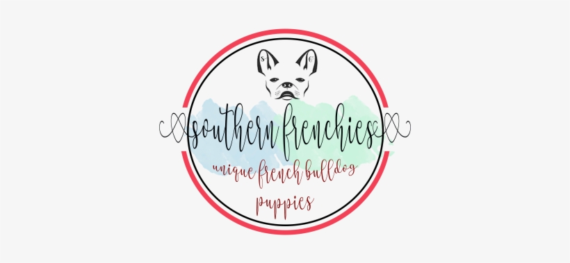 French Bulldog Face Outline, transparent png #1583750