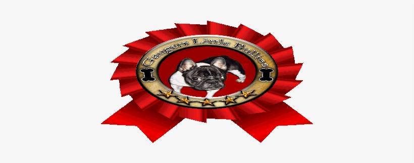 Kansas, transparent png #1583799