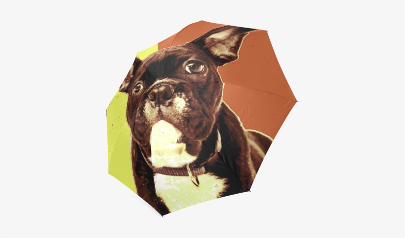 French Bulldog Foldable Umbrella - Journal By Irreverent Journals 9781542555234 (paperback), transparent png #1583825