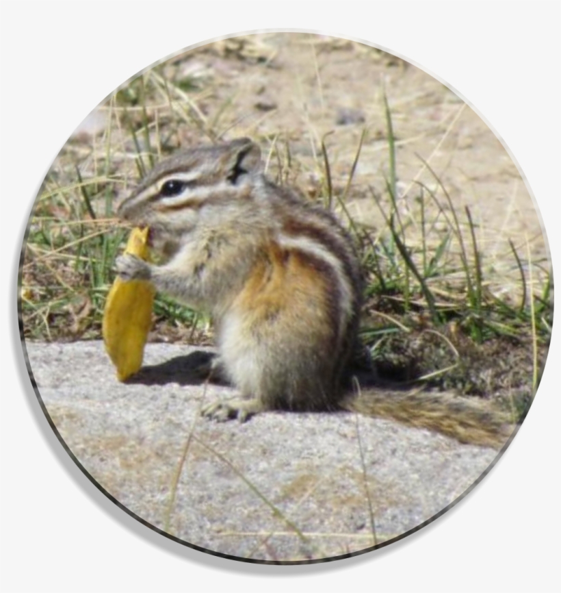 Colorado, transparent png #1583848