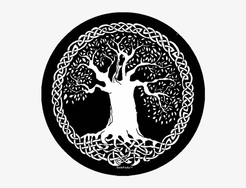It Also Makes Sense That Many Different Cultures World - Celtic Tree Of Life Png, transparent png #1583994