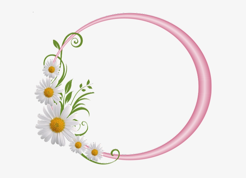 Pink Round Frame With Daisies Borders And Frames, Borders - Have A Blessed Sabbath, transparent png #1584017