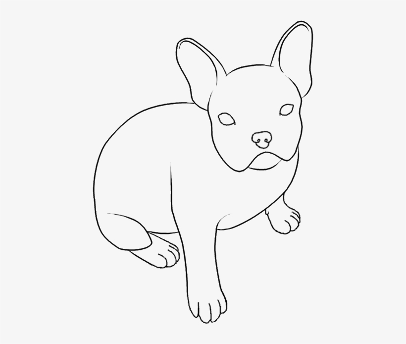 Collection Of French - Easy French Bulldogs To Draw, transparent png #1584065