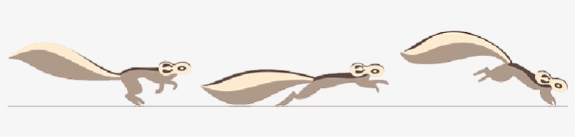 Mb Image/png - Salto De Una Ardilla, transparent png #1584260