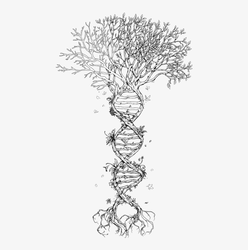 Tree Of Life @lindsay Poland This Is Soooo Me - Odds And Ends [book], transparent png #1584279