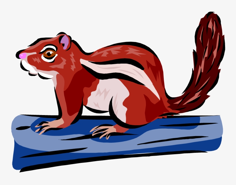 Chipmunk Clipart Small Squirrel - Squirrel, transparent png #1584484