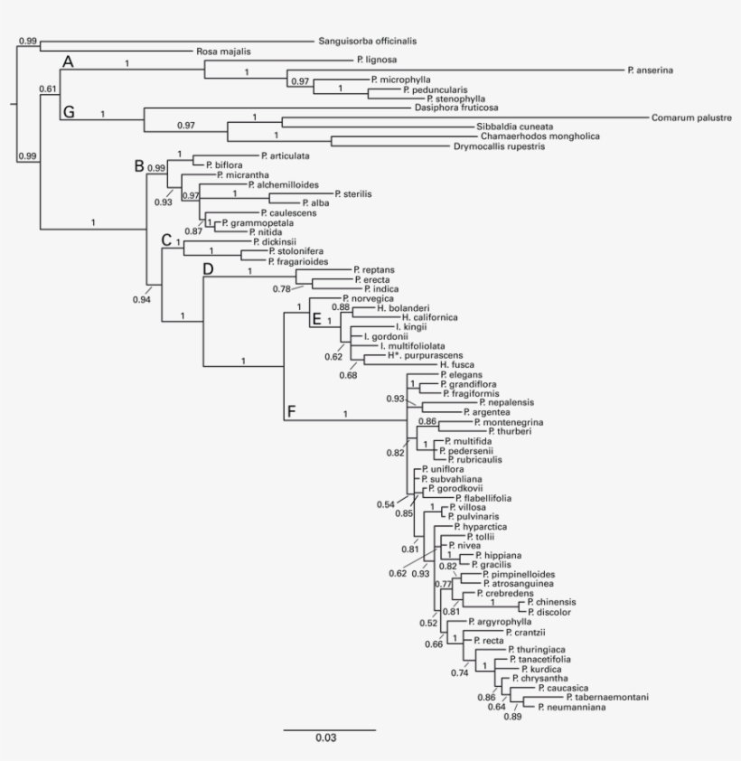Back To “fig3 ” - Diagram, transparent png #1584506