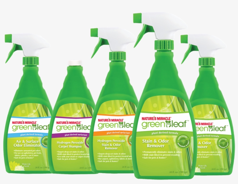 Green - Eco Friendly Cleaning Products Png, transparent png #1584821
