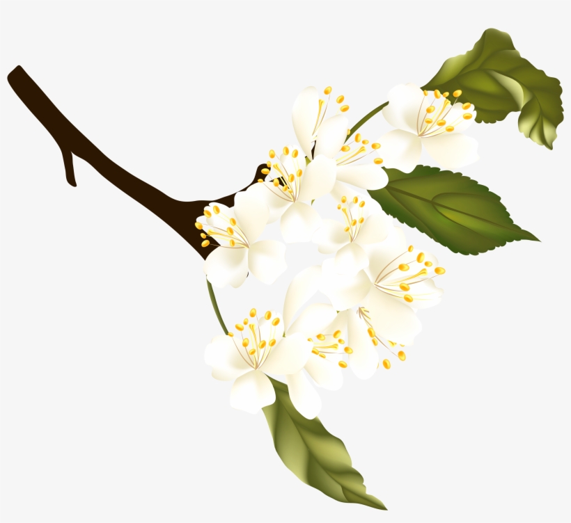 Branch Clipart Spring - Portable Network Graphics, transparent png #1585158