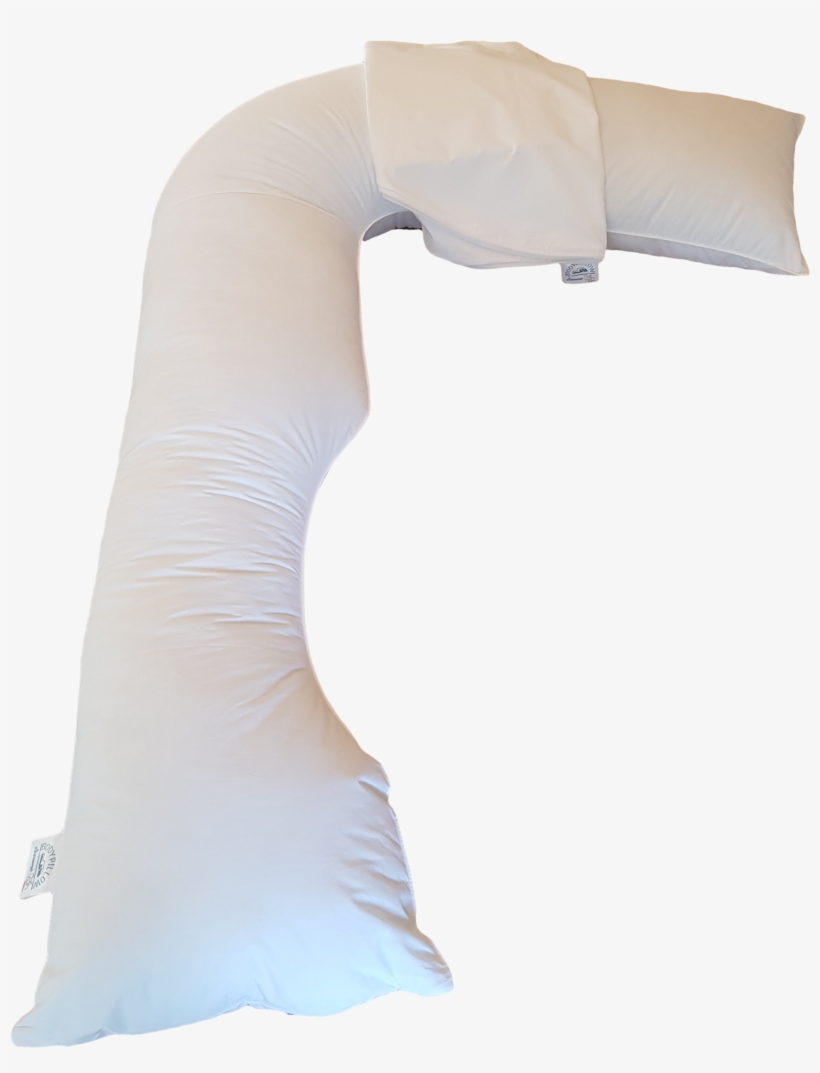 R1499 ] Another Of The Larger Bodypillows In The Range - Length, transparent png #1586262