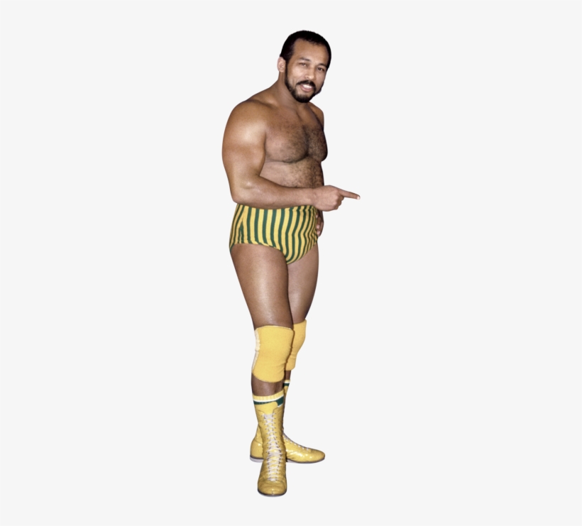 Johnny Rodz - Wwe Hall Of Fame Johnny Rodz, transparent png #1587959