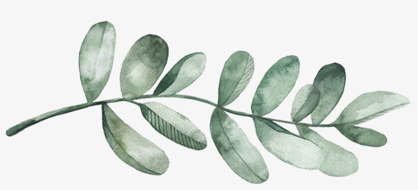 Registry - Envelope, transparent png #1588689