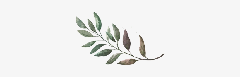 Leaf Hor - Illustration, transparent png #1588713
