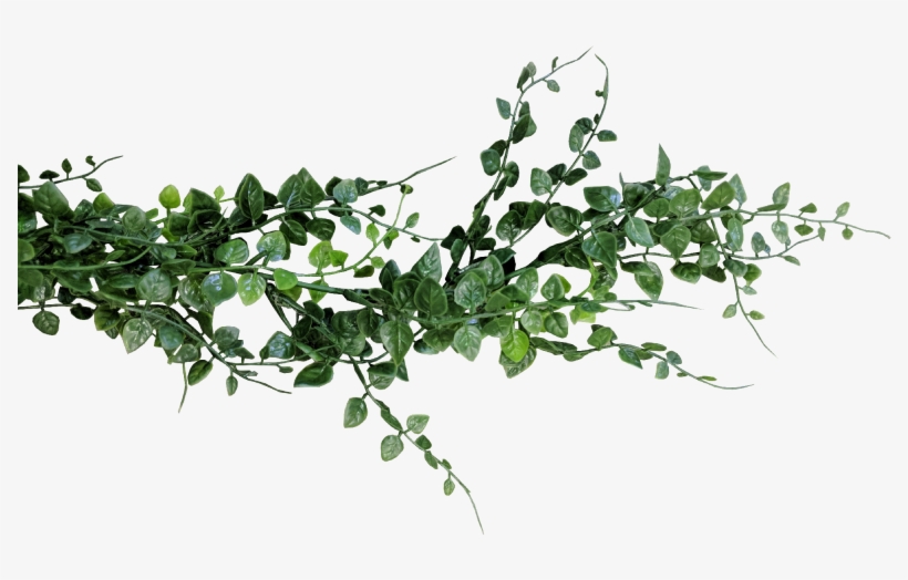 Eucalyptus Garland Png - Eucalyptus Garland Transparent Png, transparent png #1588788