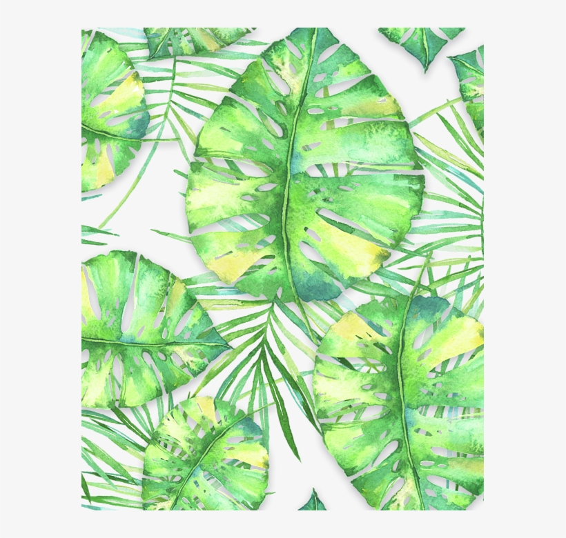 Click And Drag To Re-position The Image, If Desired - Swiss Cheese Plant, transparent png #1589113