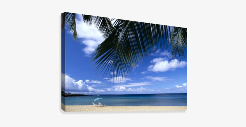Hawaii, Lanai, Hulopoe Beach, Palm Fronds In Foreground, - Lanai, transparent png #1589160