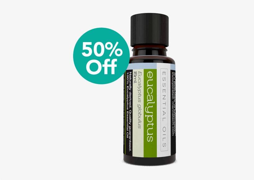 Lime, transparent png #1589421