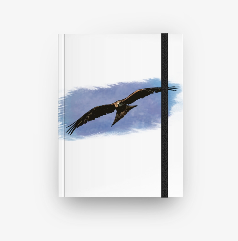 Caderno Watercolor Predator De Felipe Gomesna - Golden Eagle, transparent png #1589447