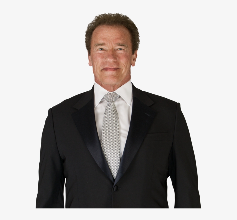 Arnold Schwarzenegger Png Hd - Arnold Schwarzenegger Png, transparent png #1589466