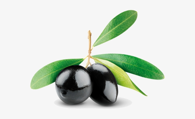 Extra Virgin Oil Pomace Greek Farm Oilolive - Aphrodite Cosmetics, transparent png #1589496