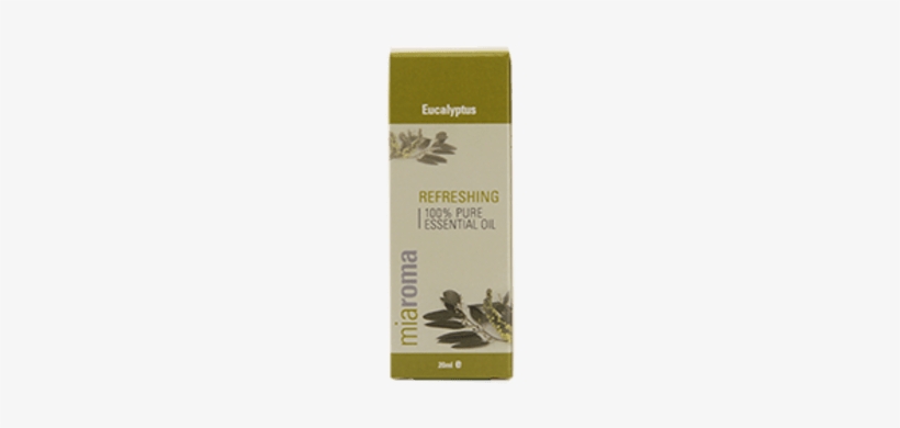 Miaroma Eucalyptus Pure Essential Oil 20ml - Eucalyptus Oil Holland & Barrett, transparent png #1589783