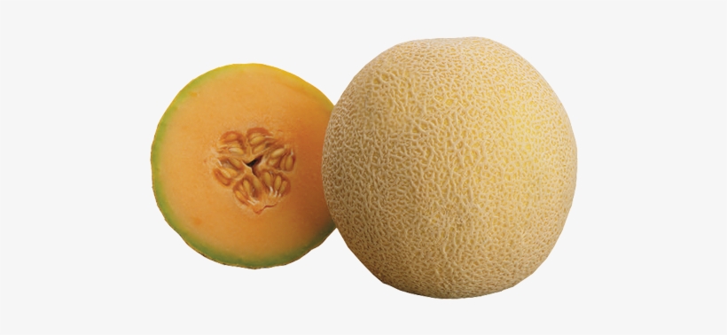 Cantaloupe - Fruit, transparent png #1589941