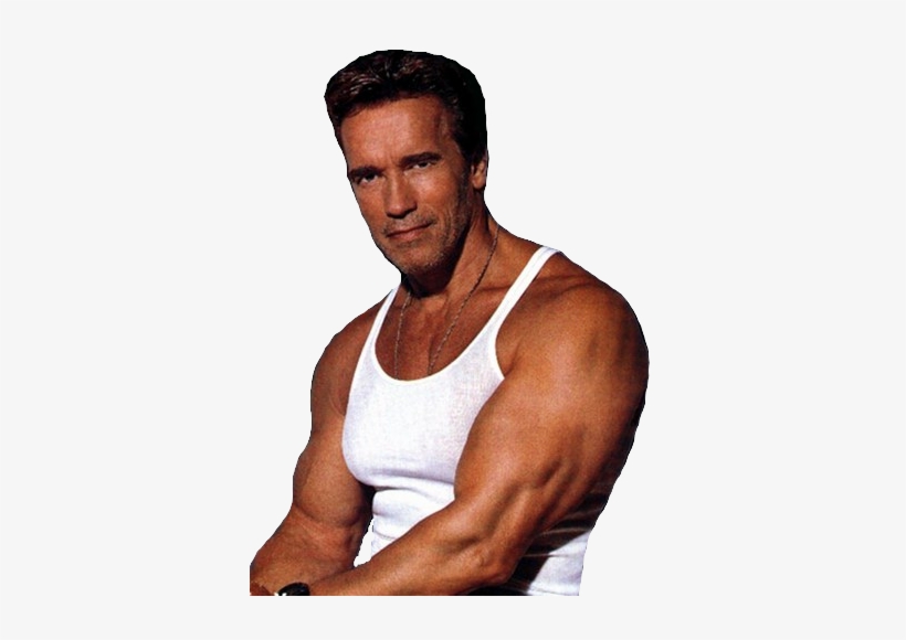 Arnold Schwarzenegger - Arnold Schwarzenegger Body 1991, transparent png #1589982