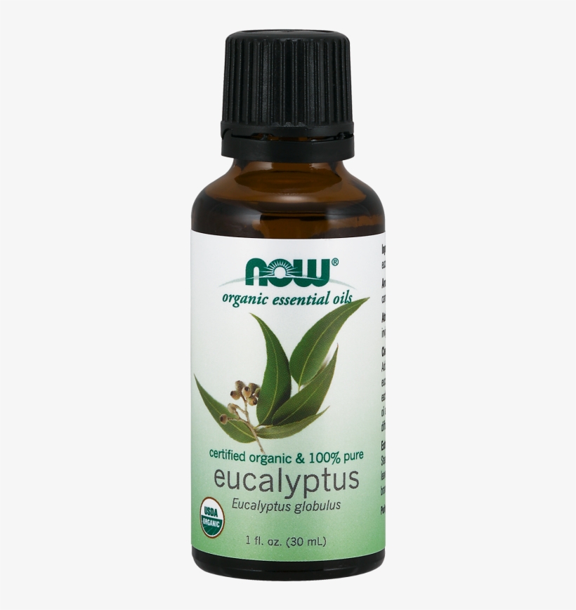 Eucalyptus Globulus Oil, Organic - Now Essential Oils, transparent png #1590024