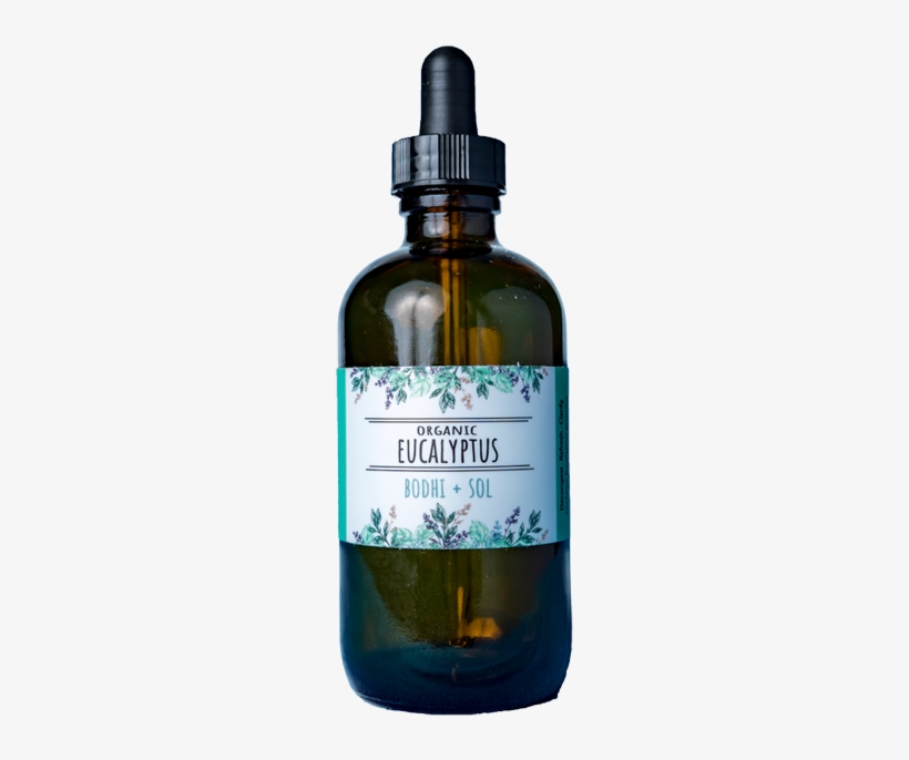 Organic Eucalyptus Essential Oil - Prieto Picudo, transparent png #1590063