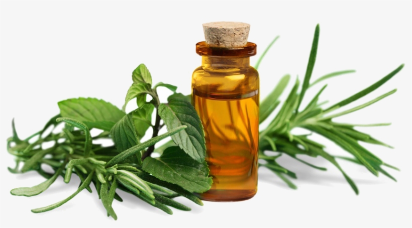 Essential Oils Png - My Recipe Book For Essential Oil Blends: Custom - Blank, transparent png #1590241