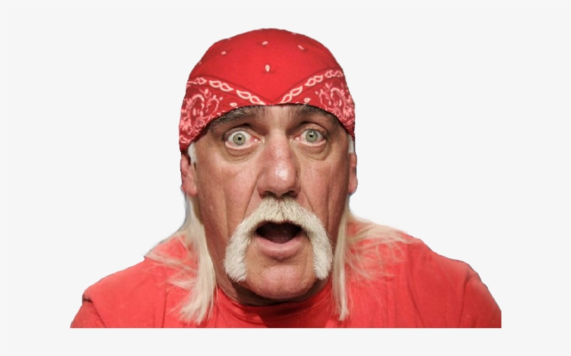 Wow I Just Realized I Actually Have A Perfect And Valid - George Foreman Hulk Hogan, transparent png #1591196