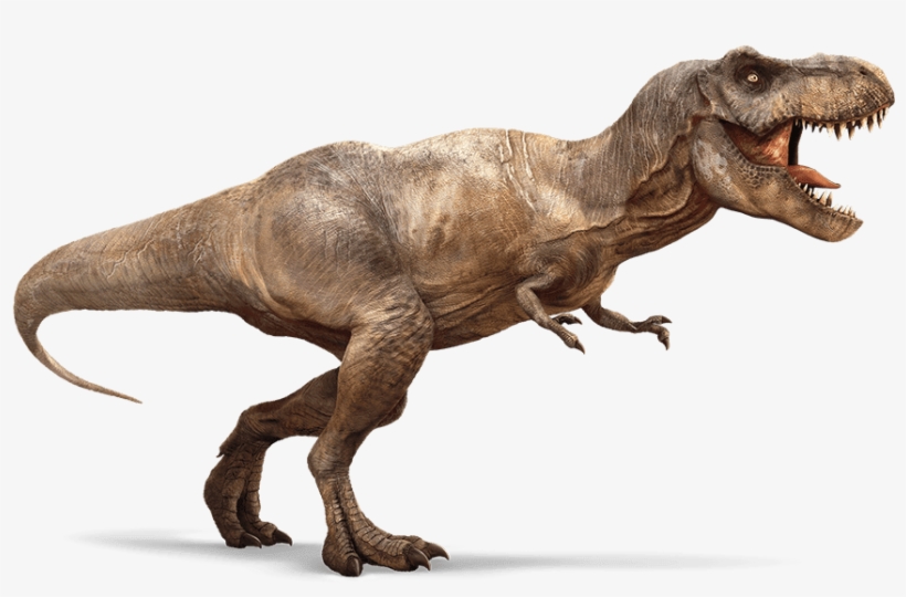 More Like This Guy, In Other Words - T Rex, transparent png #1593203