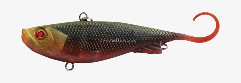 Trout, transparent png #1594579