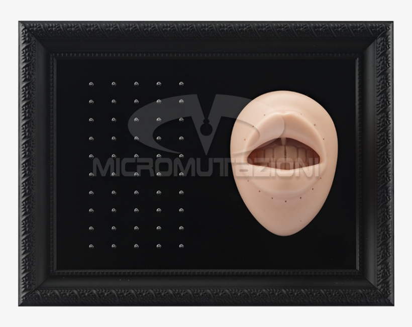 Tattooable Lip Body Parts Display For Internal Micro - Jewellery, transparent png #1595846