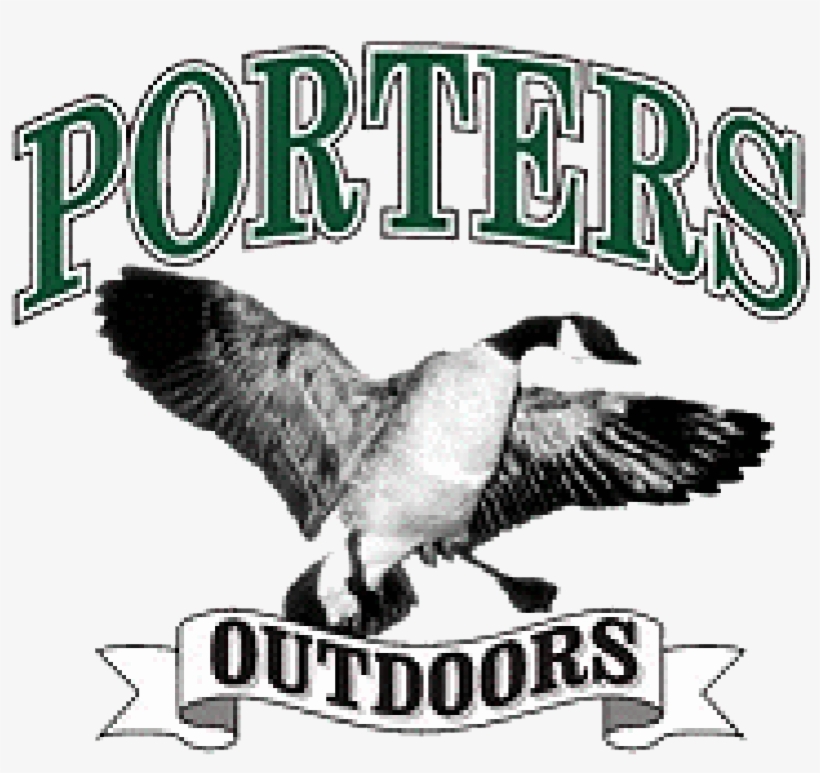 Illinois - Goose, transparent png #1598079