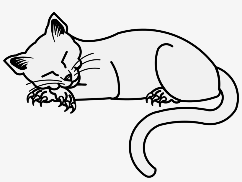 Details, Png - Kitten, transparent png #1598323