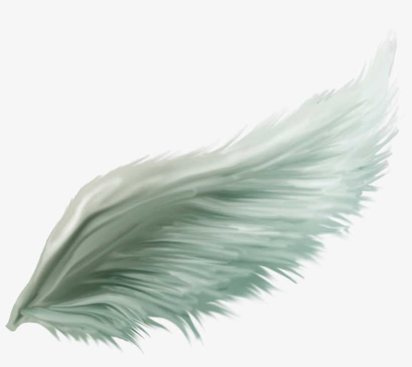 Christmas Tree, transparent png #1598570