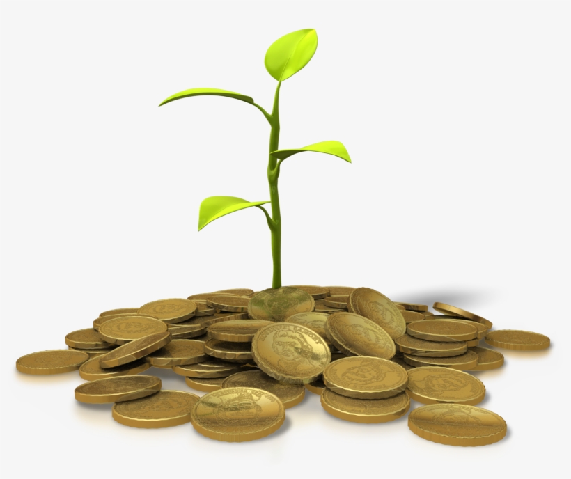 A Plant Growing From A Pile Of Gold Coins - Financial Prosperity Png, transparent png #1598643