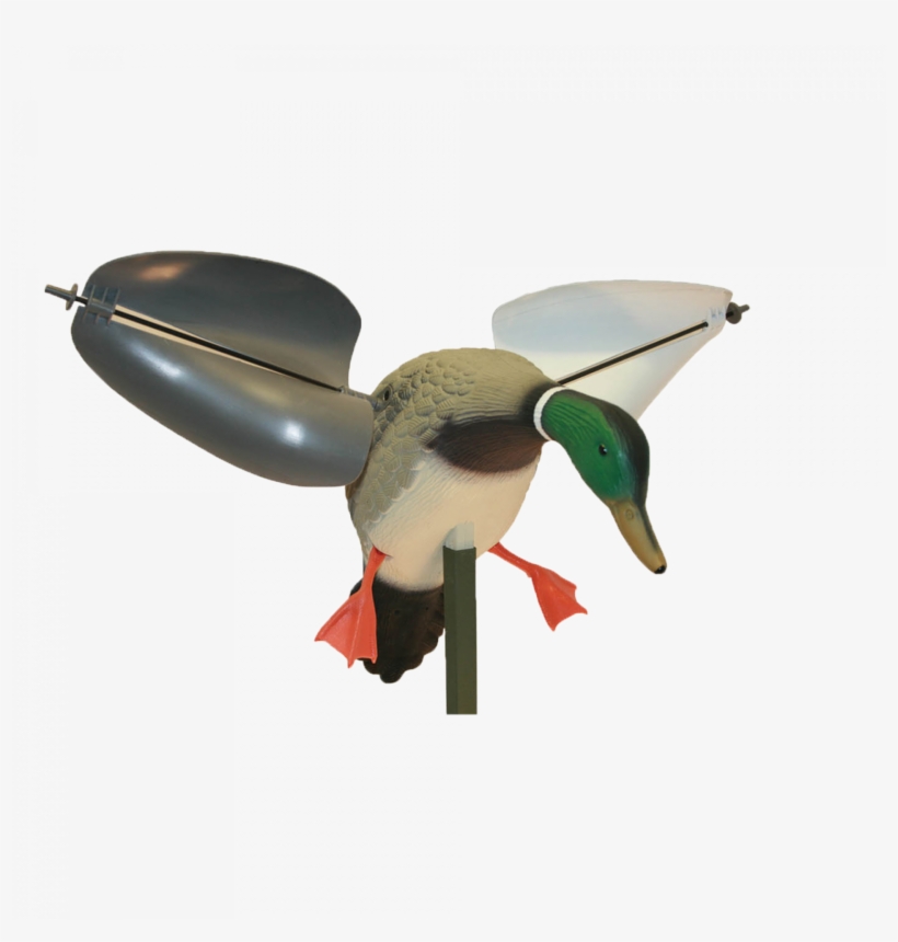 Popular Where Motorized Decoys Are Not Allowed - Duck Mojo, transparent png #1598733