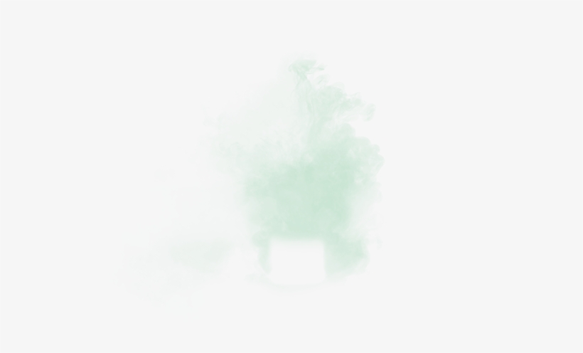 Temperamental And Multi-facetted - Fir, transparent png #160163