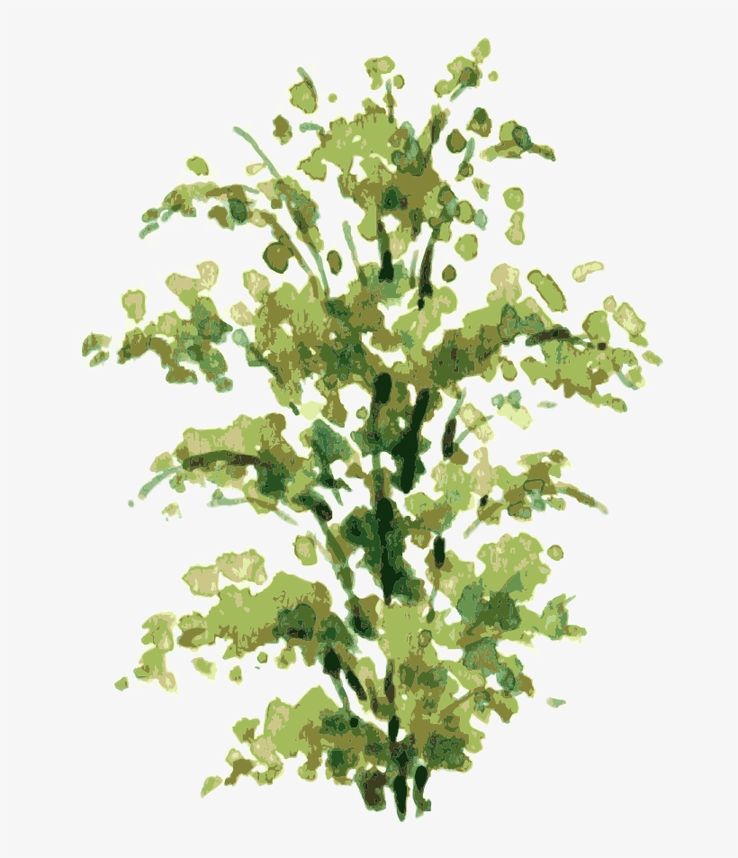 Clip Art Freeuse Library Shrub Drawing - Shrub Drawing, transparent png #160181