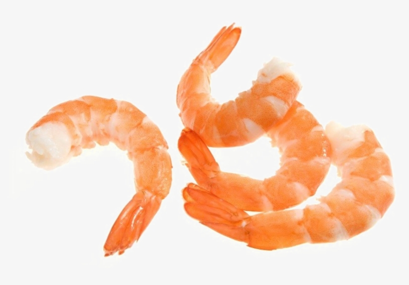 Shrimp Png Image - Shrimp, transparent png #160234